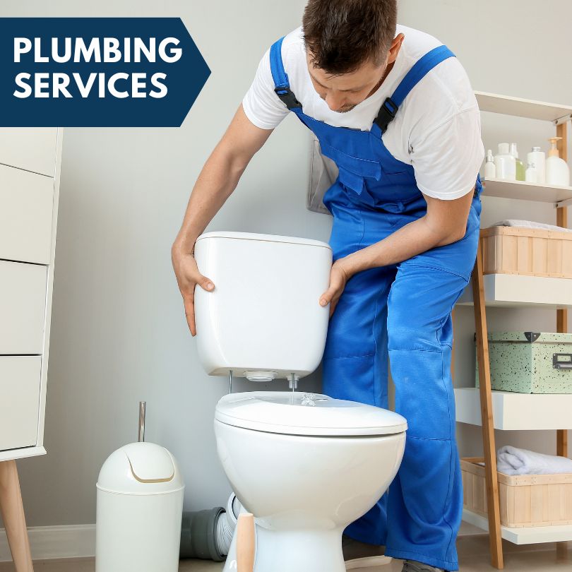 Plumbing Company in Brownsville, MD